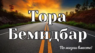 Аудио Тора в дорогу Книга Бемидбар