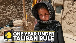 One year since Taliban seized power in Afghanistan | Latest World News | WION