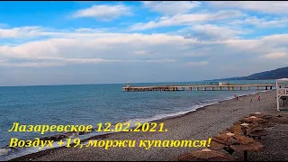 +19-20 Тепло! Моржи купаются!🌴ЛАЗАРЕВСКОЕ СЕГОДНЯ🌴СОЧИ.