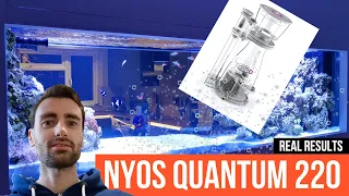 RockysReef - Real Results On The Nyos Quantum 220 Skimmer