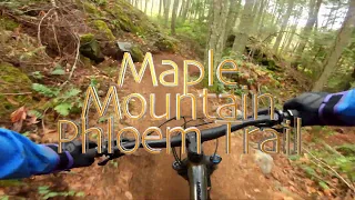 What a dismal lap!!! ~Phloem on Maple Mountain ~ WadePlaysOutside