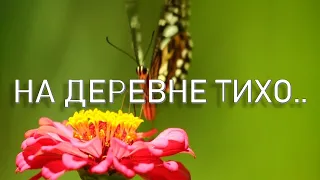 НА #ДЕРЕВНЕ ТИХО.. #ПЕСНЯ