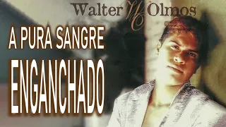 WALTER OLMOS -  A PURA SANGRE - ENGANCHADO