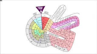 Tabela periódica e suas propriedades