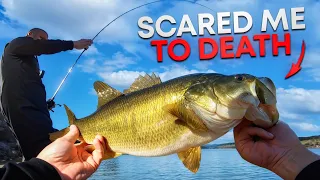 CRAZY Winter Topwater Hit! Catwalk & Provoke 97DD Jerkbait Fishing