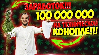 Миллионы на техно конопле!!! Как зарабатывать легально на выращивание технической конопли !