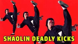 Wu Tang Collection - Shaolin Deadly Kicks