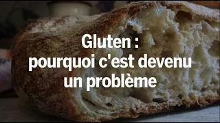 Gluten : pourquoi c'est devenu un problème