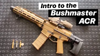 Intro to the Bushmaster ACR - Arm&Gun's Personal SBR: Gun of the Week #25