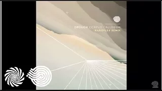 Grouch - Corpus Callosum (Nanoplex Remix)