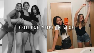 COLLEGE MOVE IN VLOG 2019 | northeastern university sophomore year