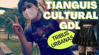 Conociendo tianguis cultural GDL.  |Documental-Turismo|