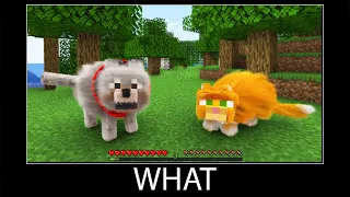 Minecraft wait what meme part 278 realistic minecraft Cat and Dog