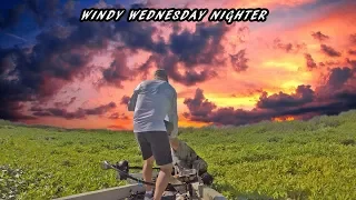 DIGGIN for FISH | Windy Wednesday Nighter EP 16