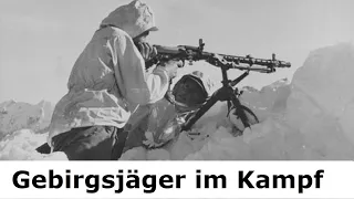 Gebirgsjäger an vielen Fronten / Teil 2 /  Erlebnisbericht eines Überlebenden 1943 - 1945