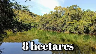 Chácara com casa, rio e pomar em Goiás por 170 mil