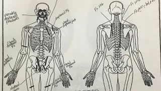 Gianna Bryant Autopsy Report