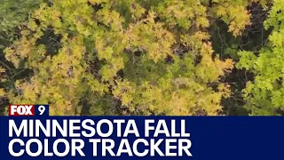 Minnesota DNR launches fall color tracker