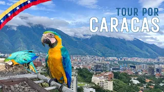 Esto es CARACAS | Explorando la capital de Venezuela