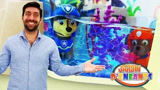 Vidéo en français pour enfants. Jardin d'enfants № 72 : la Pat Patrouille dans le delphinarium