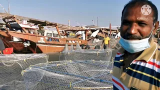 Let us see Alkhor fishing deck and meet Tamil fisherman in Qatar அல் கோர் துறைமுகம்