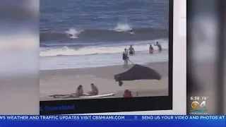 Two Shark Attacks Off Florida Beaches