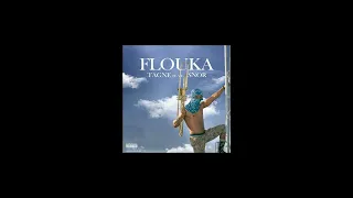 TAGNE - FLOUKA FT SNOR (speedup)