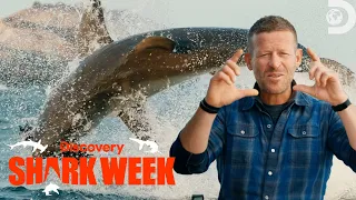 The Highest Flying Sharks of Shark Week 2022 | Shark Week | Discovery