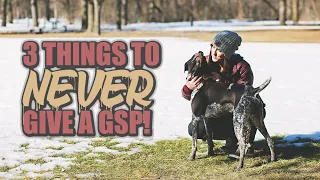 3 Things to Never Give a GSP