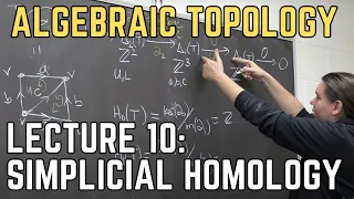 Algebraic Topology 10: Simplicial Homology