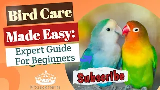 Bird Care Made Easy: Expert Guide for Beginners. @awesomenature_KB