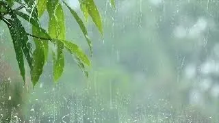 Beautiful Relaxing Piano and Rain ~ #sleep #meditation #yoga #study #spa #relaxingpiano #rain #water