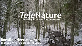 Burbling river and light snowfall in an evergreen forest in winter. Nature sounds, no music