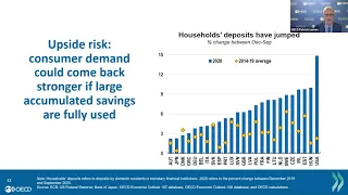 Impacts of COVID-19 and the Outlook for an Economic Recovery in 2021 – Insights from the OECD