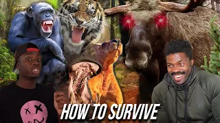 How to Not Get Unsubscribed from Life by Animals | The Chill Zone Reacts
