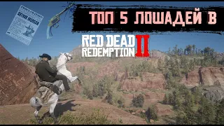 Топ лошадей в Red Dead Redemption 2!