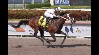 Gulfstream Park Resumen - 25 de Mayo 2019