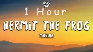 MARINA - Hermit The Frog (lyrics) | 1 HOUR