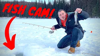 ICE FISHING in Washington State! Trout Catch & Cook Adventure w/ UNDERWATER FOOTAGE!