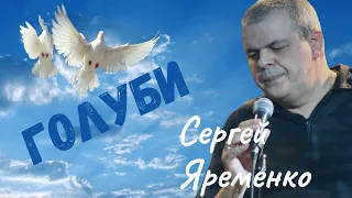 Песня "Голуби" Шансон Минор. Автор  Сергей Яременко