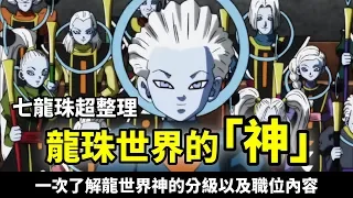 【龍珠超整理】關於龍珠世界的「神」 一次整理 讓你清楚了解神的分級以及他們主要是在做什麼的