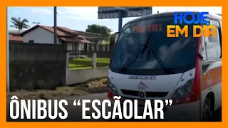 Ônibus escolar para cães viraliza nas redes sociais.