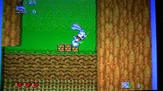 Tiny Toon Adventures  Buster's Hidden Treasue for Sega Genesis