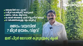 ആകാശം മുട്ടുന്ന കൊടി ആദായം നിറയുന്ന തോട്ടം: വിയറ്റ്നാമിനെ വെല്ലാൻ‌ പീറ്റർ മോഡൽ കൃഷി | Karshakasree