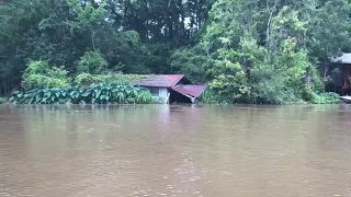 Louisiana swamp cabins