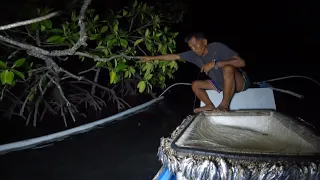 Inarya ang mahabang Kitang sa Bakawan ang Daming Isda Dito!