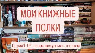 МОИ КНИЖНЫЕ ПОЛКИ | Книжный сериал. СЕРИЯ 1. | Обзорная экскурсия по моим полкам