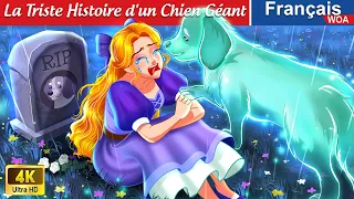 La Triste Histoire d'un Chien Géant 🐶🎀 Contes De Fées Français 🌛 WOA - French Fairy Tales