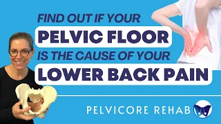 Lower Back Pain After Pregnancy & Birth || How Your Pelvic Floor is Connected