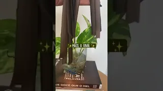 PLANTAS - ideias sustentáveis para vasos de plantas - DECORAÇÃO MINIMALISTA